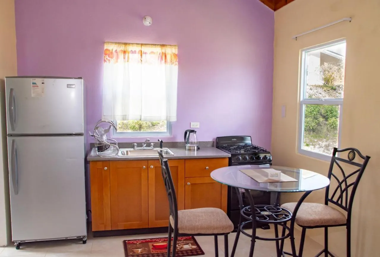 Country Side Villas By Ngv Montego Bay